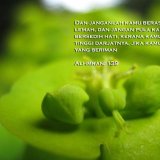 Orang Beriman